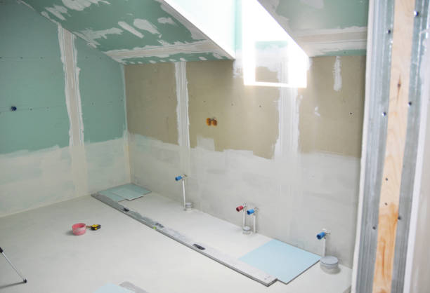 Best Attic Mold Removal  in Stony Point, MI