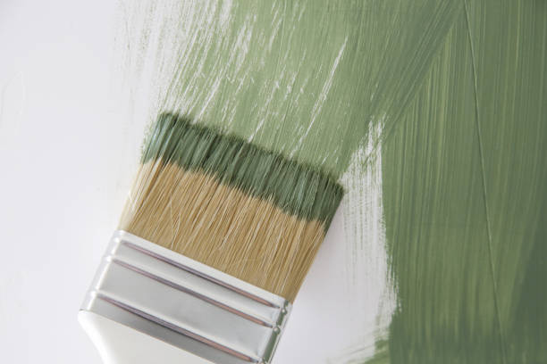 Best Commercial Mold Inspection  in Stony Point, MI