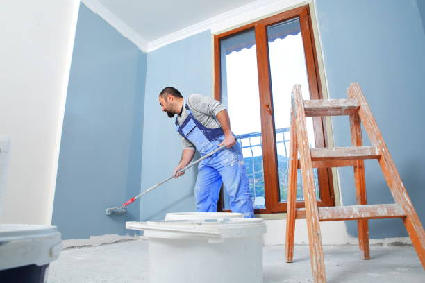 Best Basement Mold Removal  in Stony Point, MI