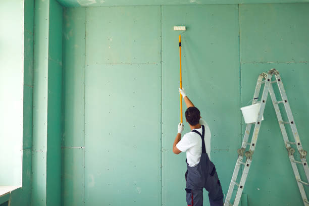 Reliable Stony Point, MI Mold Removal Solutions