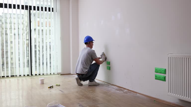 Best Asbestos and Lead Testing During Mold Inspection  in Stony Point, MI