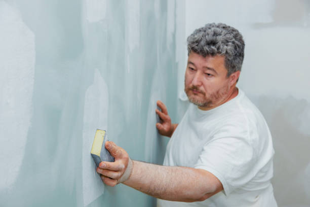 Mold Remediation for Vacation Homes in Stony Point, MI