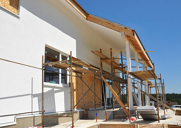 Best Industrial Mold Remediation  in Stony Point, MI